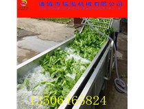 果蔬清洗機為何能成為清洗機行業(yè)的領(lǐng)頭羊