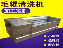 毛輥清洗去皮機(jī)適用于什么物料的清洗